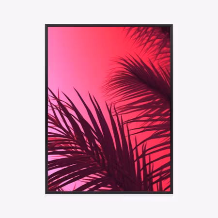 Poster med ram - Palm leaves on a pink background