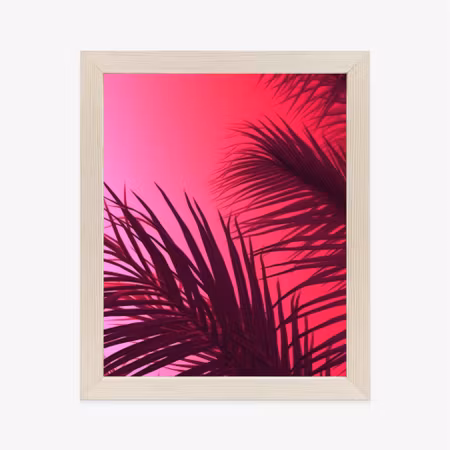 Poster med ram - Palm leaves on a pink background