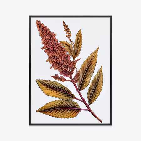 Poster med ram - Quinoa in autumn colors