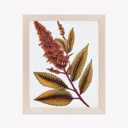 Poster med ram - Quinoa in autumn colors