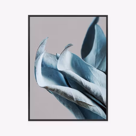 Poster med ram - Blue leaves on a gray background