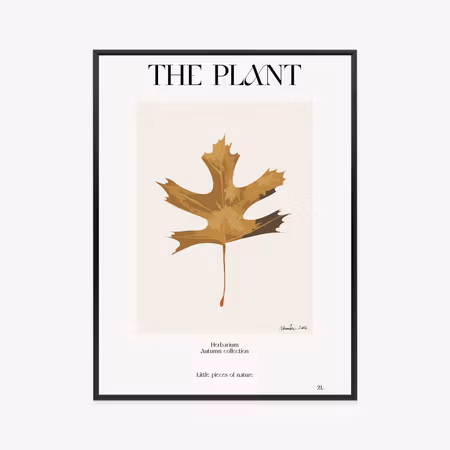 Poster med ram - Autumn leaf in the herbarium