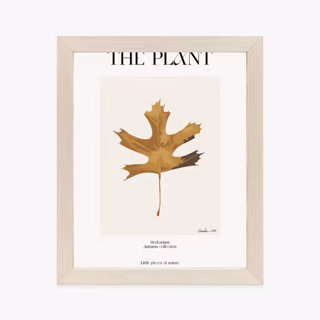 Poster med ram - Autumn leaf in the herbarium