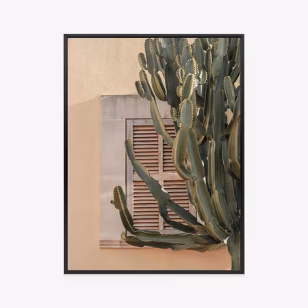 Poster med ram - Exotic cactus on an orange