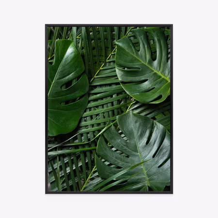 Poster med ram - Green monstera and palm leaves