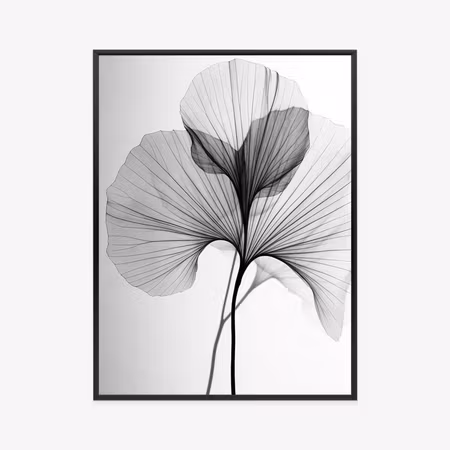 Poster med ram - Black ginkgo leaves