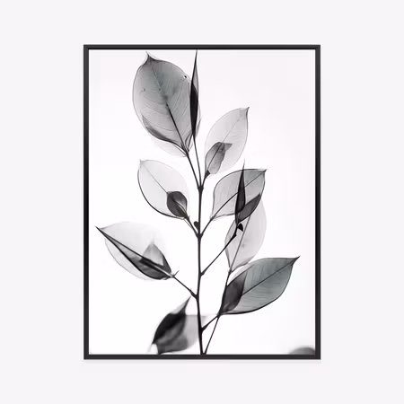 Poster med ram - A twig with gray leaves on a
