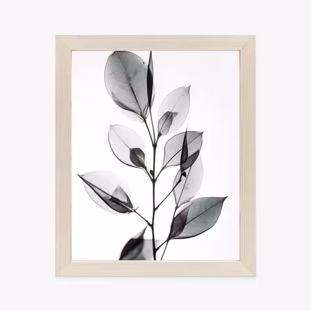 Poster med ram - A twig with gray leaves on a