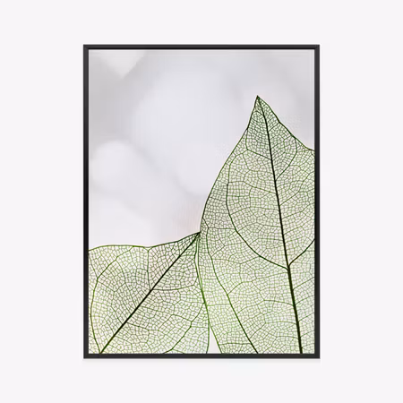 Poster med ram - Green transparent leaves on a