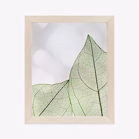 Poster med ram - Green transparent leaves on a