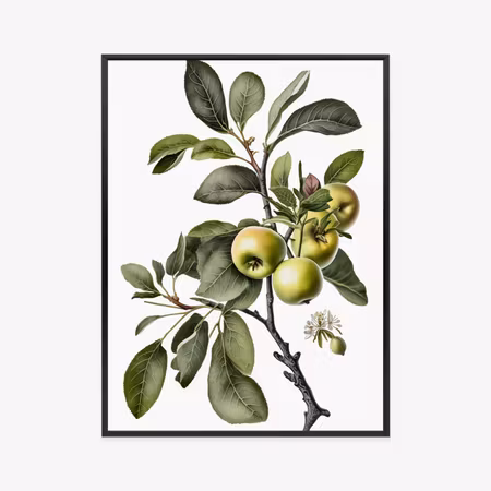 Poster med ram - Green branch with apples