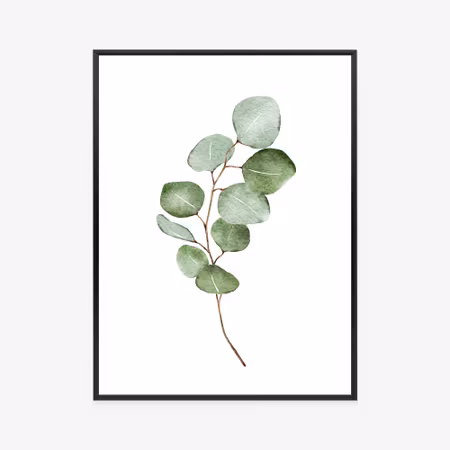 Poster med ram - Green watercolor eucalyptus