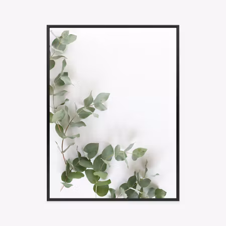 Poster med ram - Green eucalyptus leaves