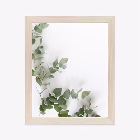Poster med ram - Green eucalyptus leaves
