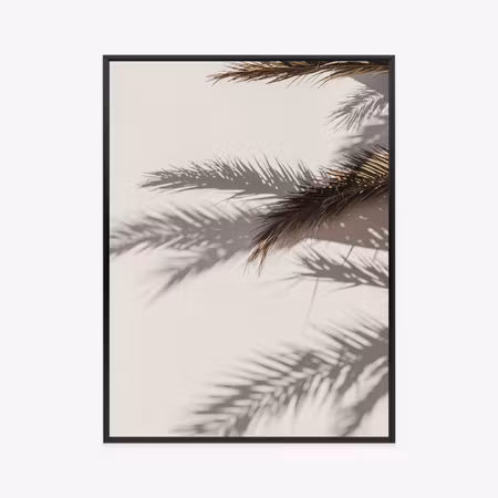Poster med ram - Palm leaves with shadow