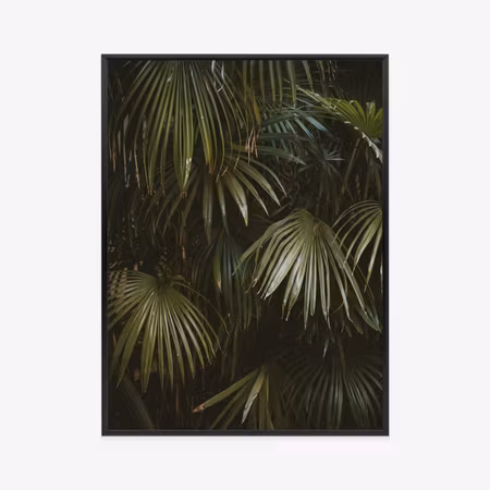 Poster med ram - Dark green palm leaves