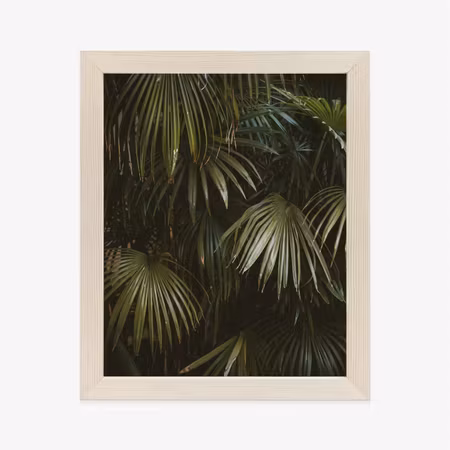 Poster med ram - Dark green palm leaves