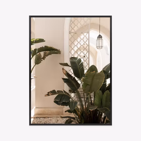 Poster med ram - Palm trees at the entrance to a