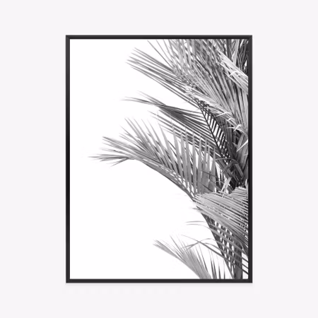 Poster med ram - Black and white palm leaves