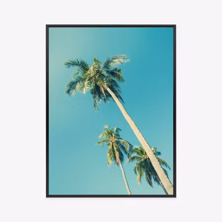 Poster med ram - Tropical background with palm