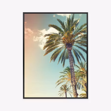 Poster med ram - Palm trees against a cloudy sky