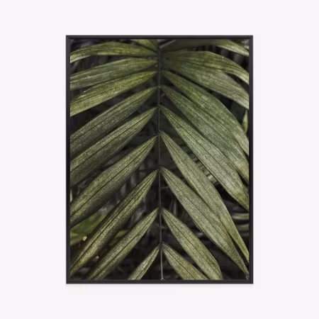 Poster med ram - Exotic palm leaves