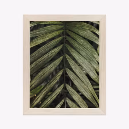 Poster med ram - Exotic palm leaves