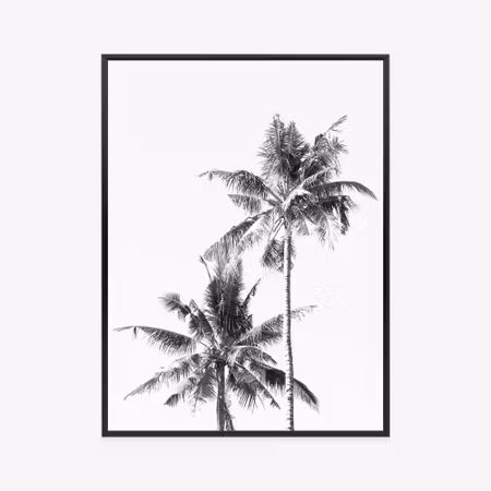 Poster med ram - Black and white palm trees