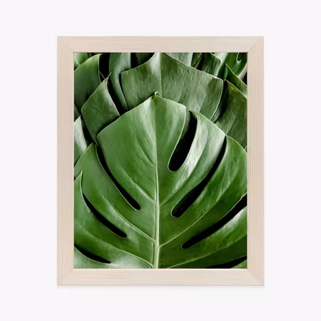 Poster med ram - Monstera palm leaves