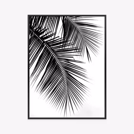 Poster med ram - Beautiful black palm leaves