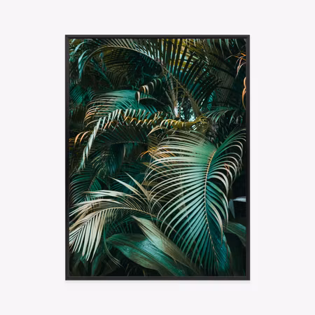 Poster med ram - Dense palm leaves of a palm tree