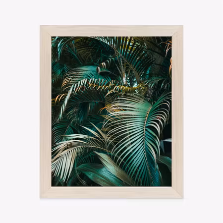 Poster med ram - Dense palm leaves of a palm tree