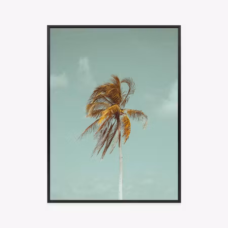 Poster med ram - Lonely palm tree
