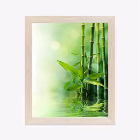 Poster med ram - Green bamboo in the water
