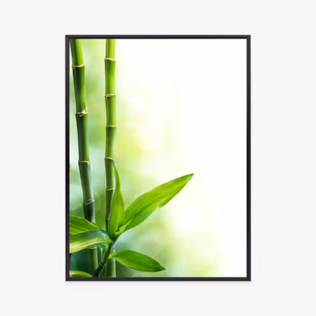 Poster med ram - Many bamboo stalks and light