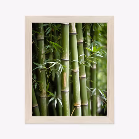 Poster med ram - Bamboo forest close up
