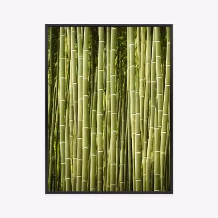 Poster med ram - Bamboo fence