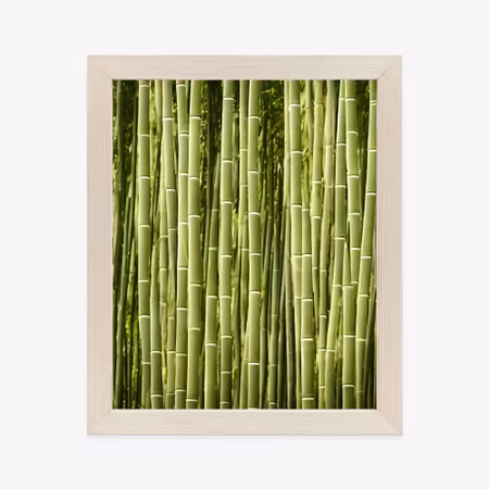 Poster med ram - Bamboo fence