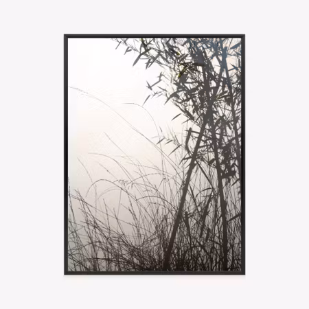 Poster med ram - Bamboos and grasses by the lake