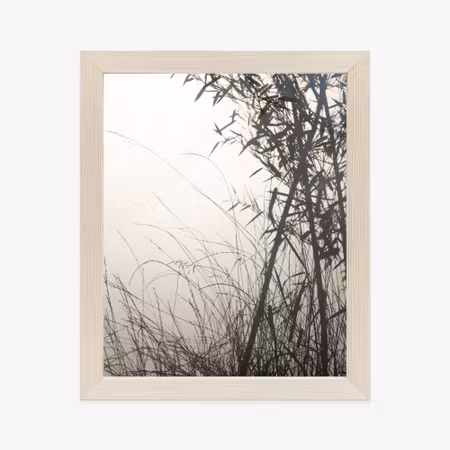 Poster med ram - Bamboos and grasses by the lake