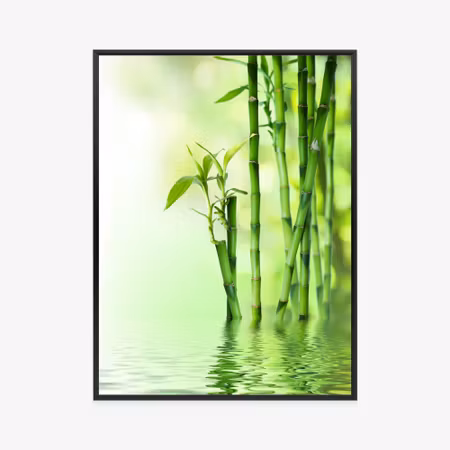 Poster med ram - Green bamboo by the river