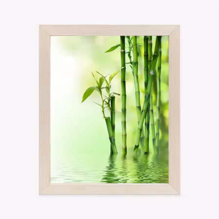 Poster med ram - Green bamboo by the river