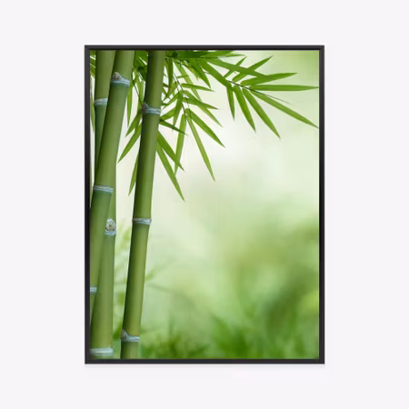 Poster med ram - Bamboos on a botanical background