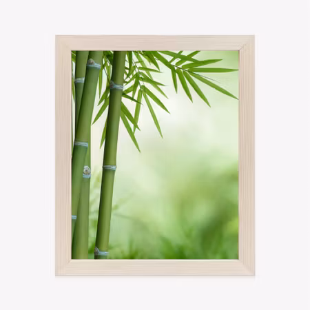 Poster med ram - Bamboos on a botanical background