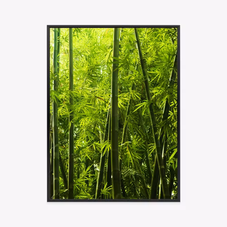 Poster med ram - Dense bamboo forest