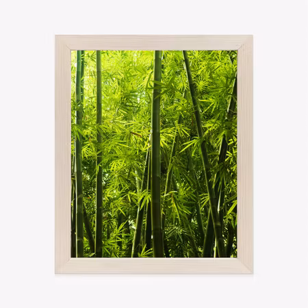 Poster med ram - Dense bamboo forest