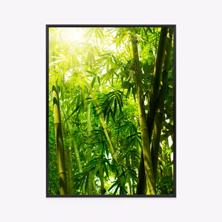 Poster med ram - Sun and bamboo forest