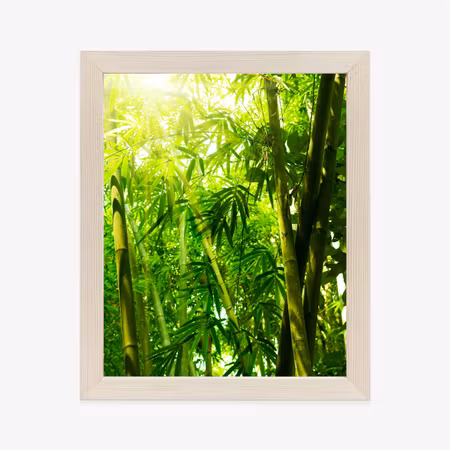 Poster med ram - Sun and bamboo forest