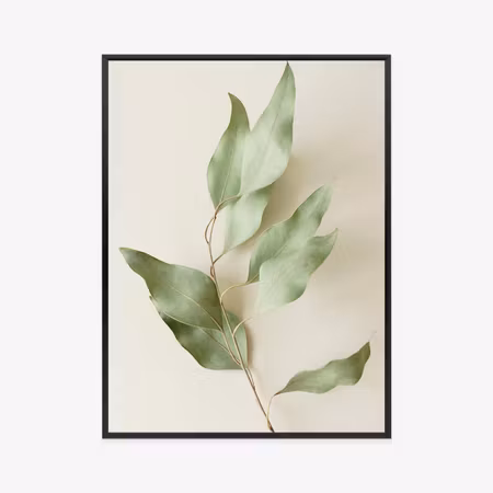 Poster med ram - Dry eucalyptus leaves