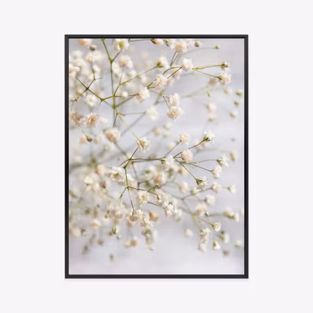 Poster med ram - White small flowers on thin twigs